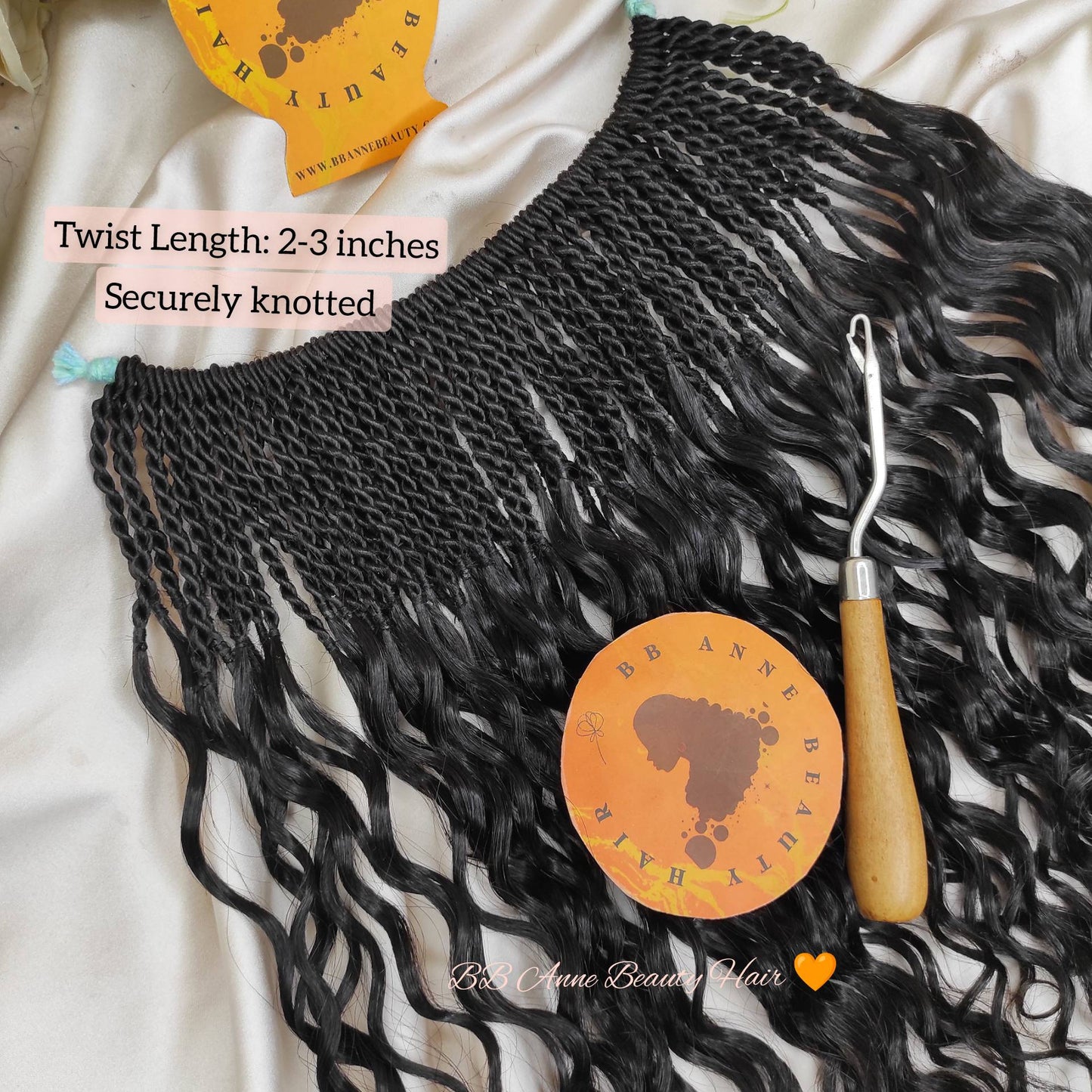 Black braided human hair extensions with a crochet hook on a white background, featuring BB Anne Beauty Hair branding.